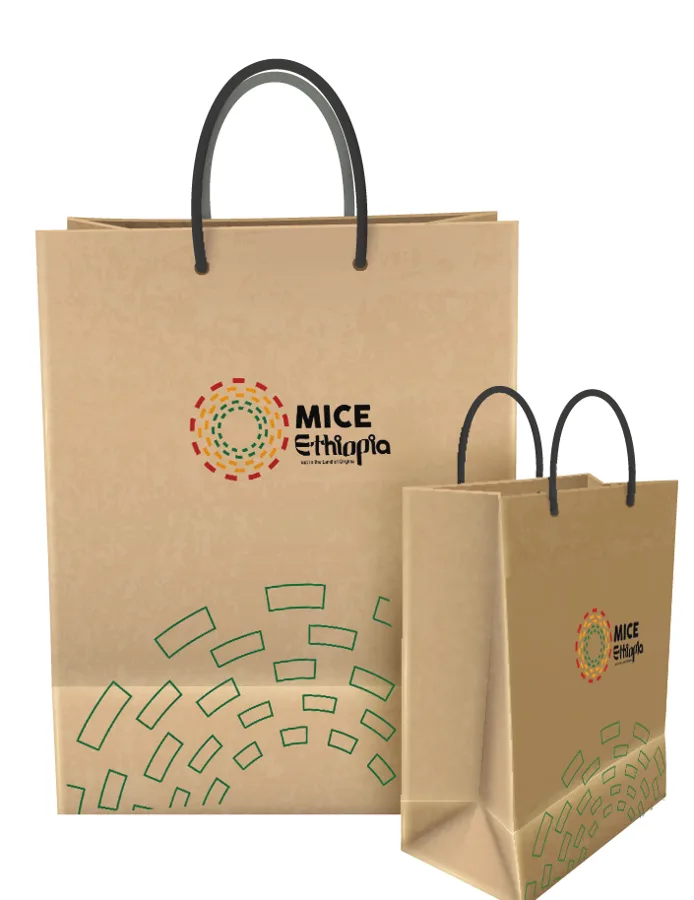 Printed paper carry bags